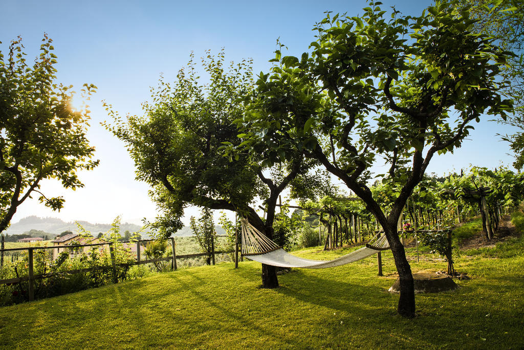 Corte Delle Cicale Bed & Breakfast Bardolino Dış mekan fotoğraf