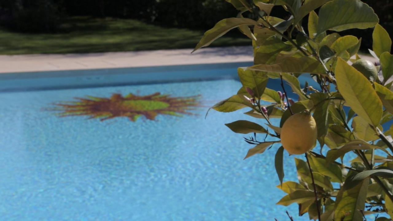 Corte Delle Cicale Bed & Breakfast Bardolino Dış mekan fotoğraf